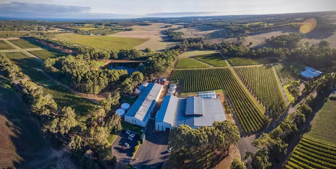 Full Day Wine Guided Small Group Tour in Margaret River