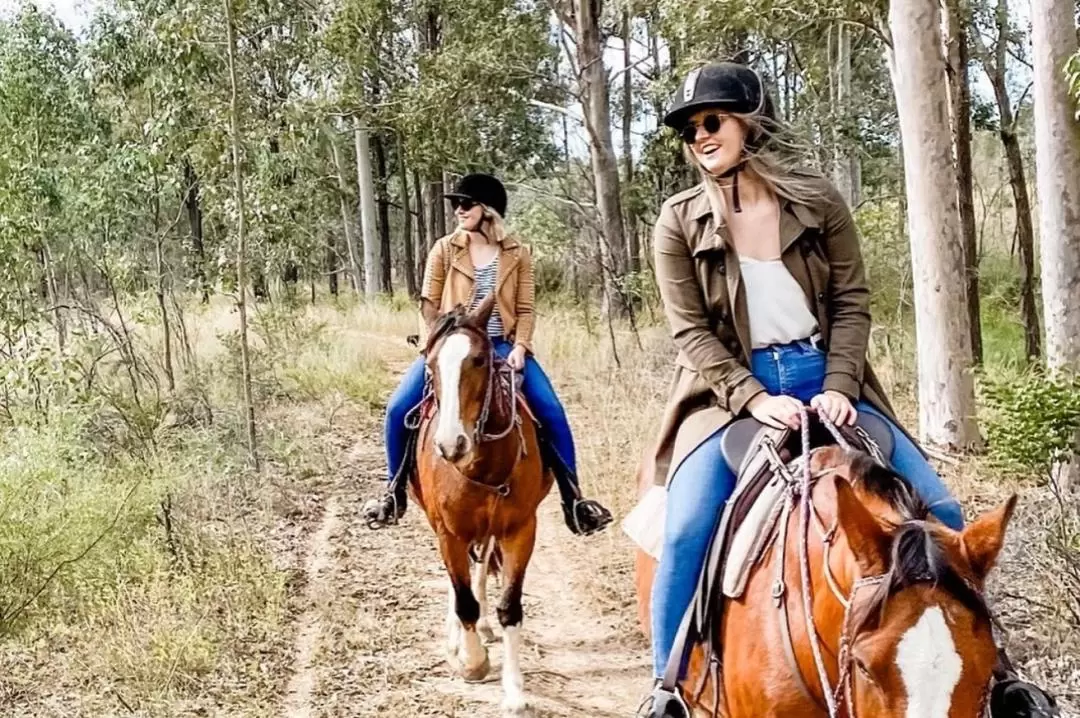 Private Horseback Bushland Trail Ride in Hunter Valley