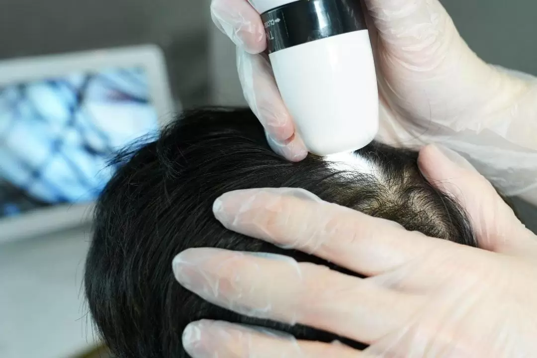 Hair Forest - Professional Scalp Treatment | Causeway Bay | Mongkok