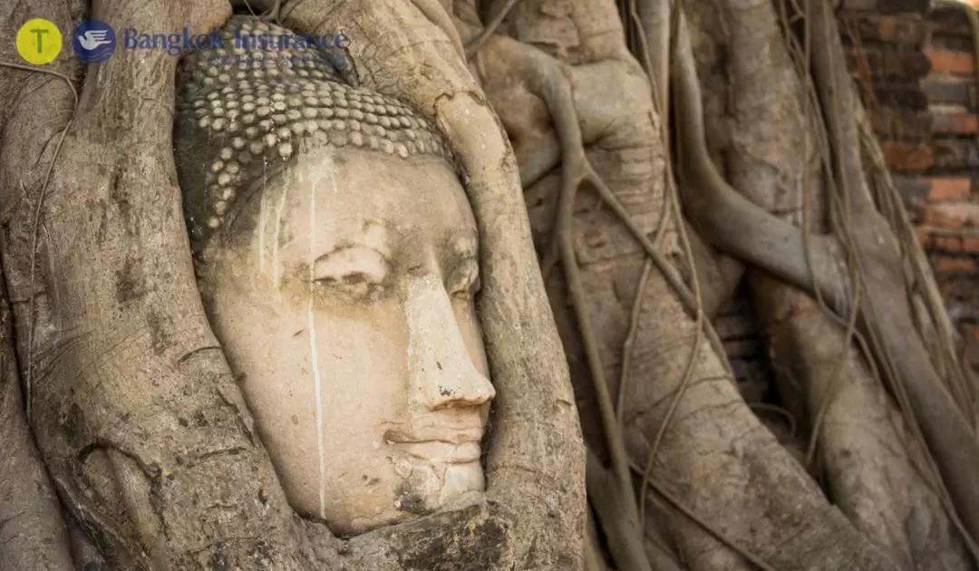 Damnoen Saduak and Ayutthaya One Day Private Tour