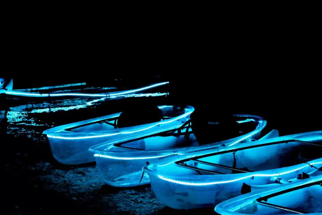 Las Vegas Neon Lights Clear-View Kayak Night Tour on the Colorado River