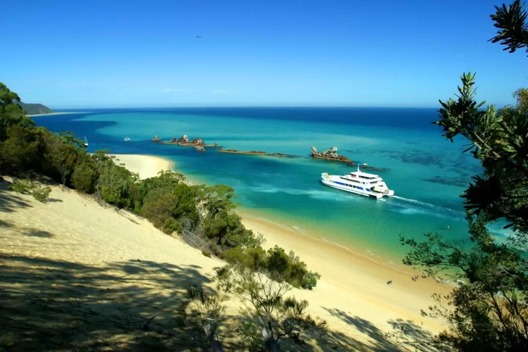 Moreton Island Full Day Tour from Brisbane