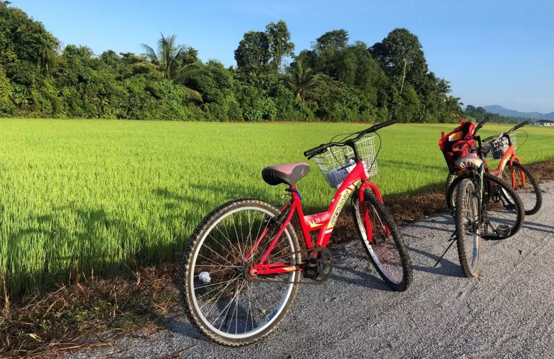 檳城浮羅山背自行車之旅（含參觀當地村莊）