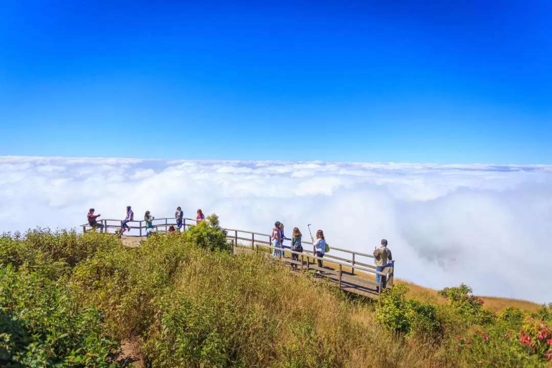 茵他儂私人徒步之旅