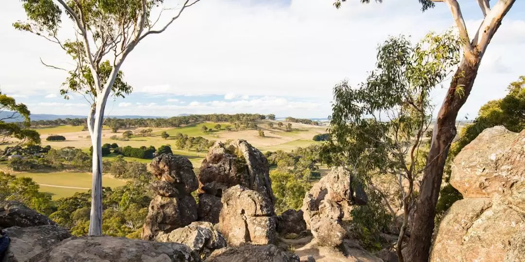 馬其頓山脈（Macedon Ranges）神秘野餐之旅