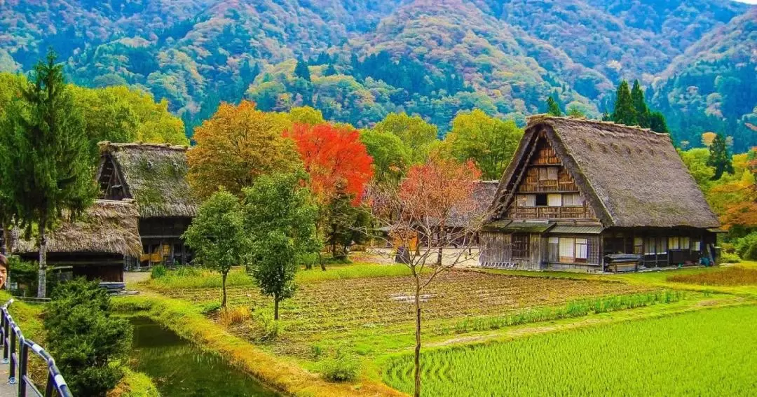 World Heritage Shirakawago and Takayama Private Tour from Nagoya