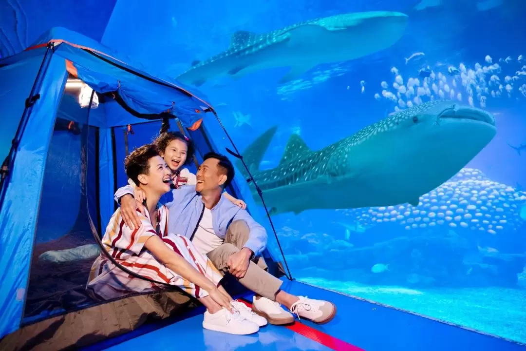 Chimelong Ocean Kingdom - Ocean Sleepover Package