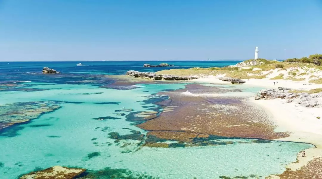 Rottnest Island Seaplane and Seafood Lunch Tour from Perth