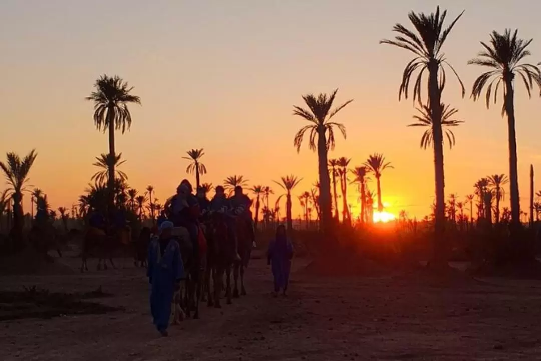 Camel Ride During Sunset at Palmeraie in Marrakech