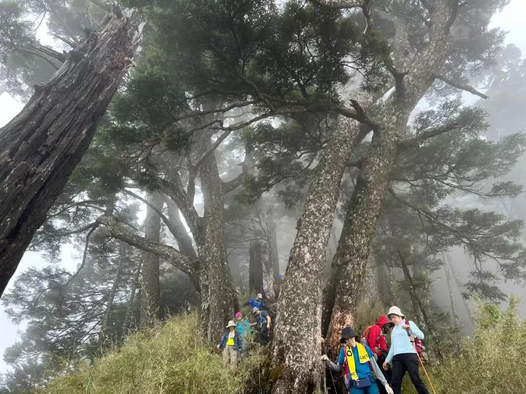 Nanheng Three-Star Mountaineering Tour: Taguan Mountain & Guanshanling Mountain & Kuhanosing Mountain (Departure from Taipei)