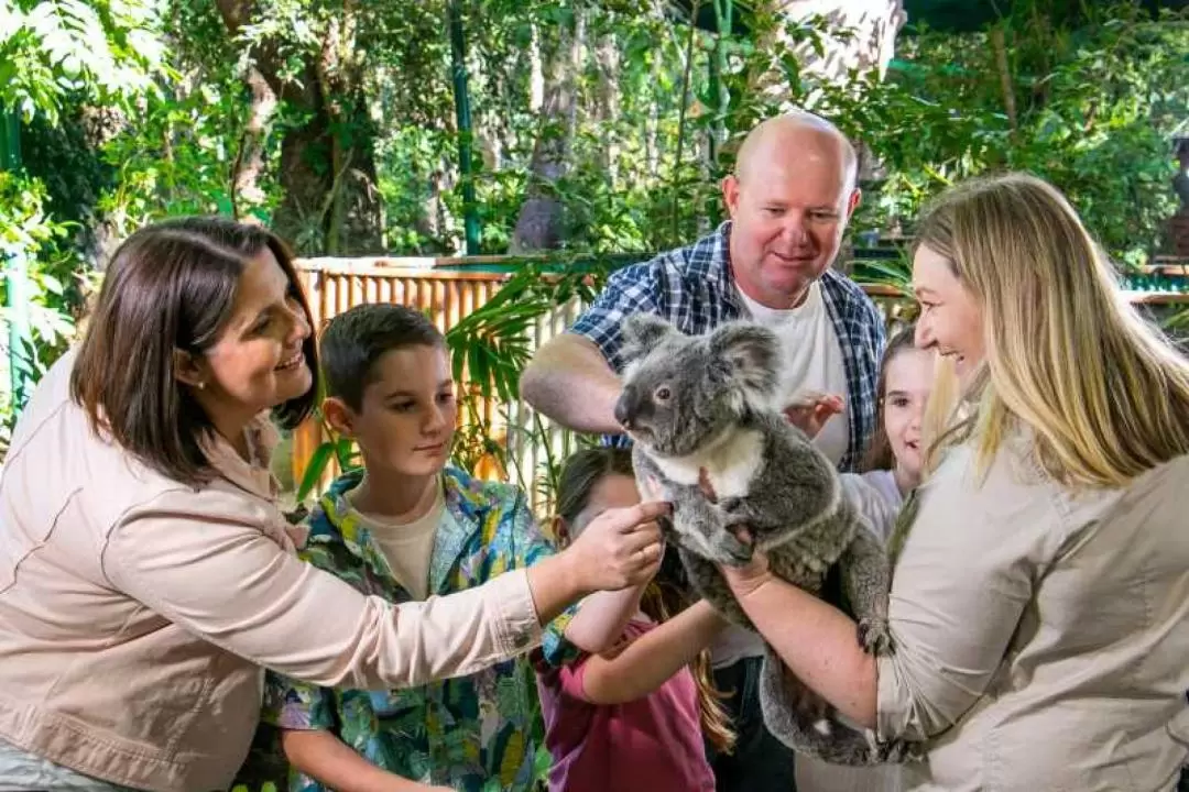 Shared Transfers to Currumbin Wildlife Sanctuary or Tropical Fruit World