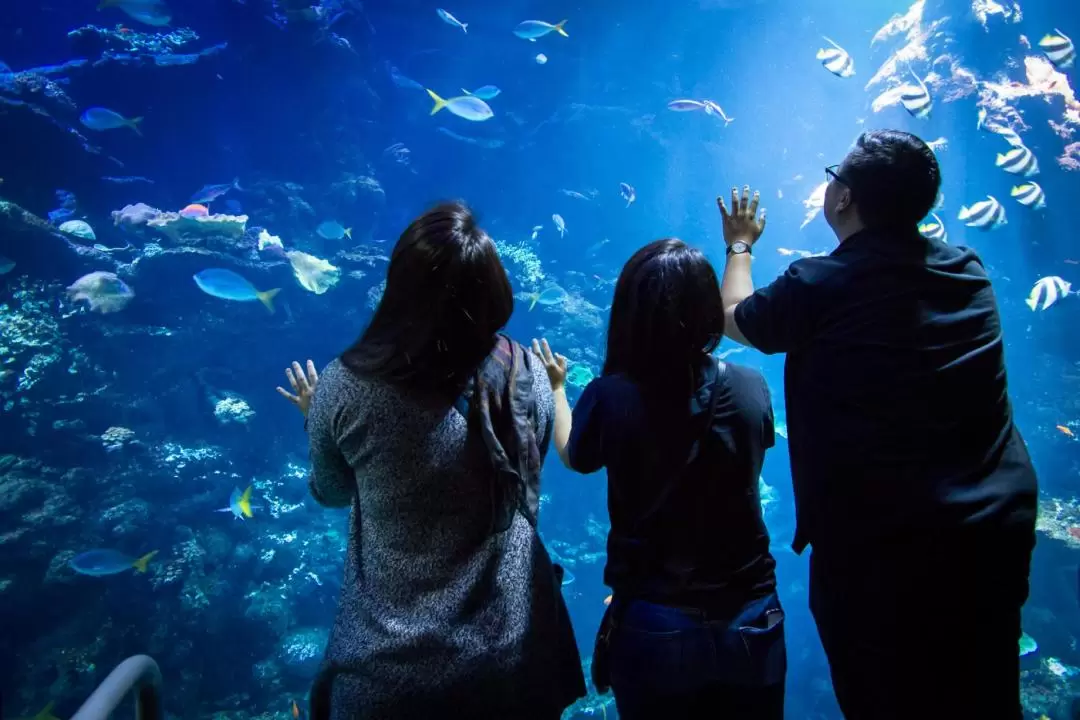 California Academy of Sciences NightLife Ticket in San Francisco