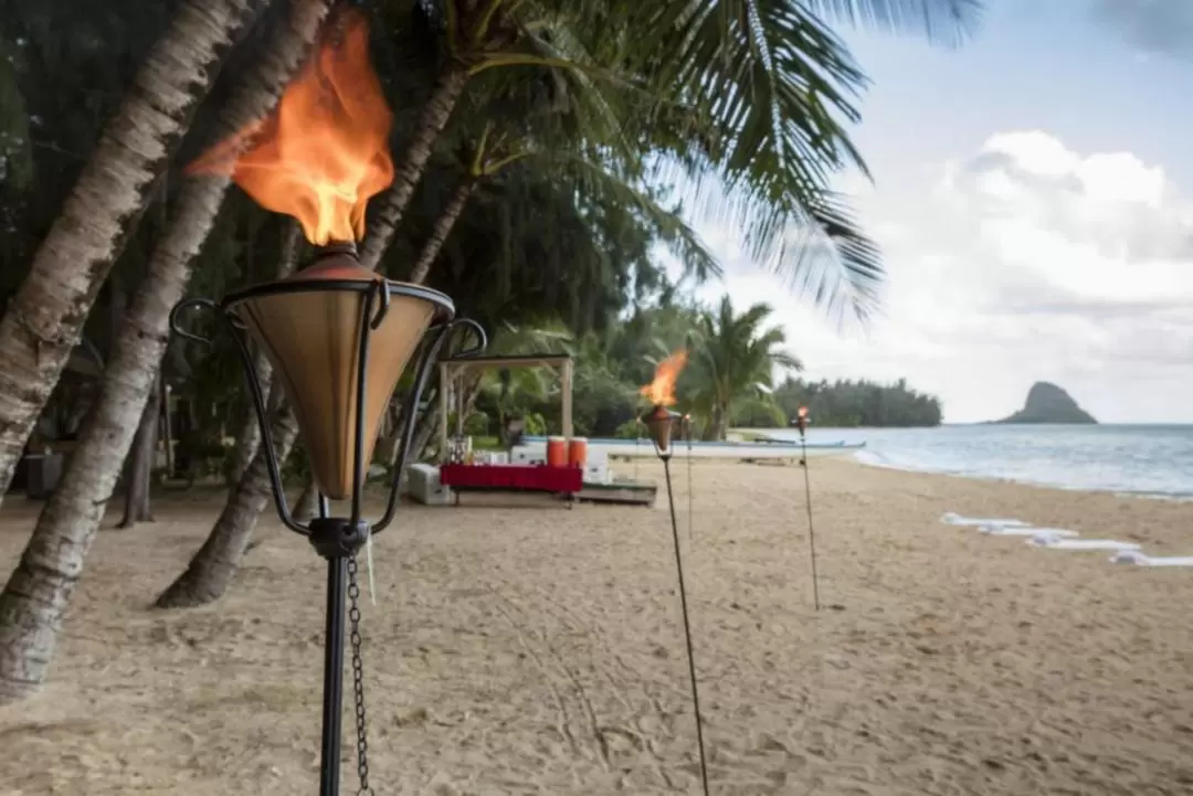 Kualoa Ranch Surf & Turf Tour