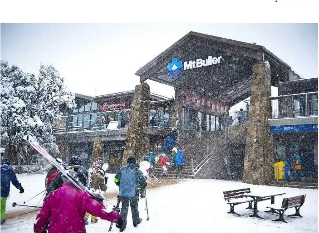 Mount Buller Snow One Day Tour