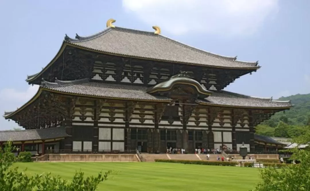 嵐山竹林x八坂神社x花見小路x奈良神鹿公園x東大寺(大阪出發)