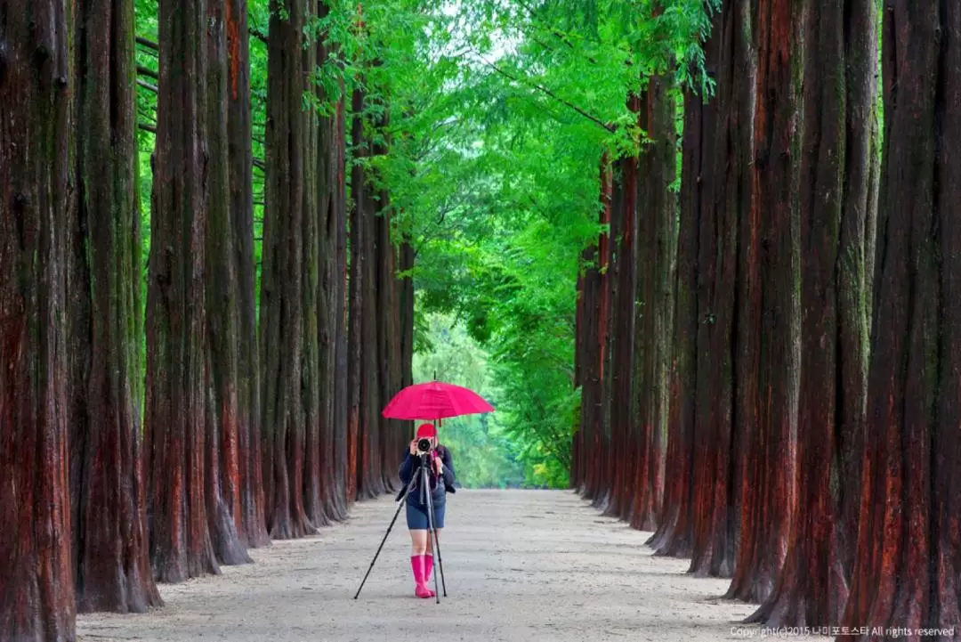 Nami Island Ticket