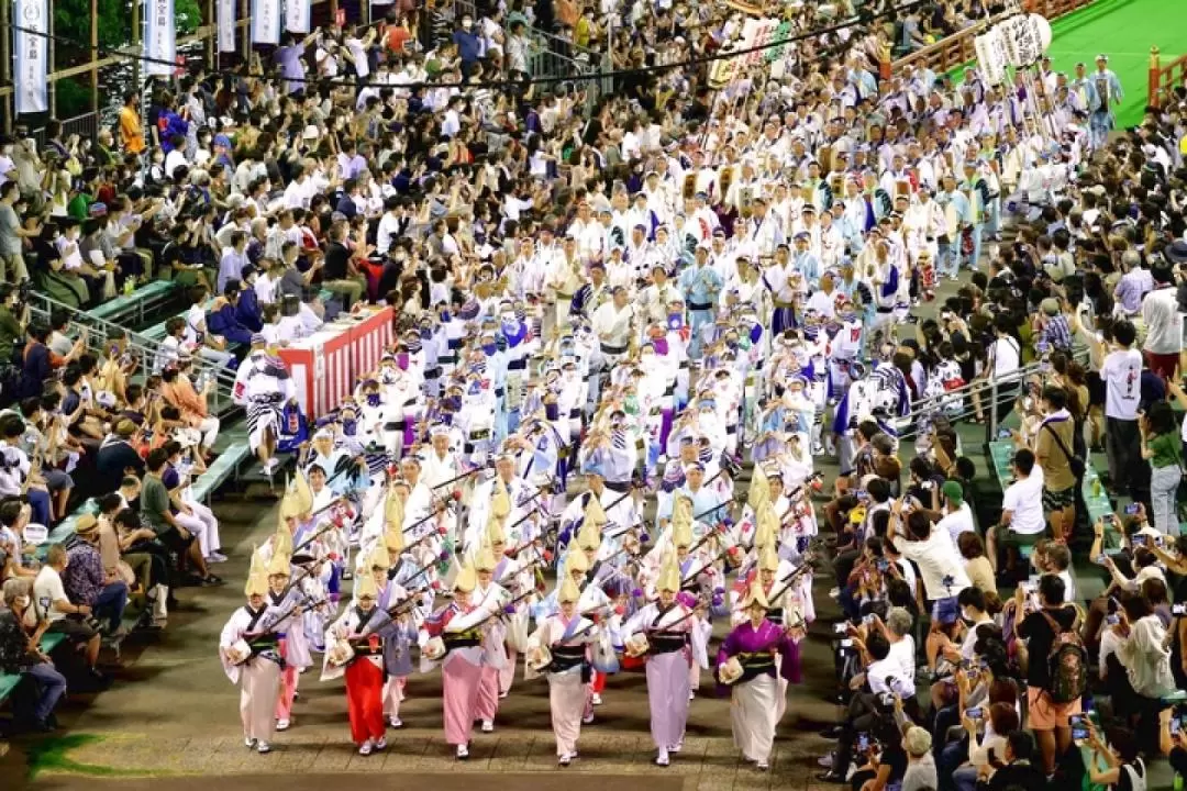 德島阿波舞祭門票