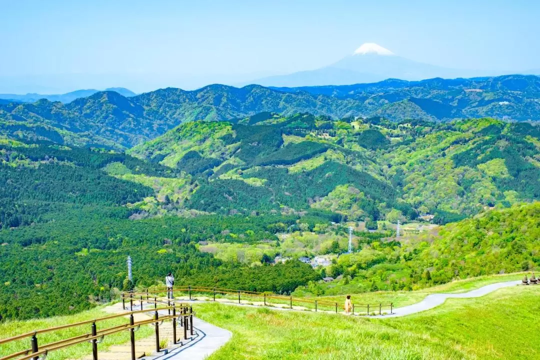 靜岡伊豆｜大室山&城ヶ崎海岸&熱海花火大會一日遊｜東京出發