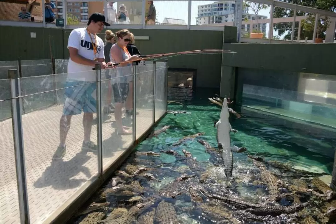 達爾文鱷魚主題公園門票