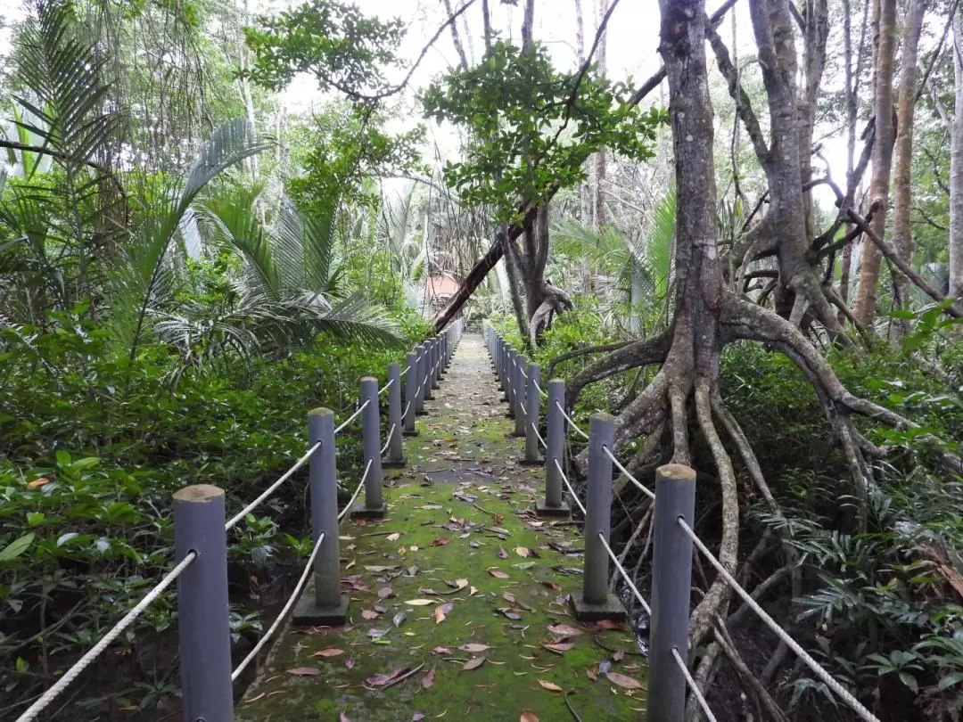 迪沙魯Sedili Kecil濕地 & 遊船巡航體驗（含接送）