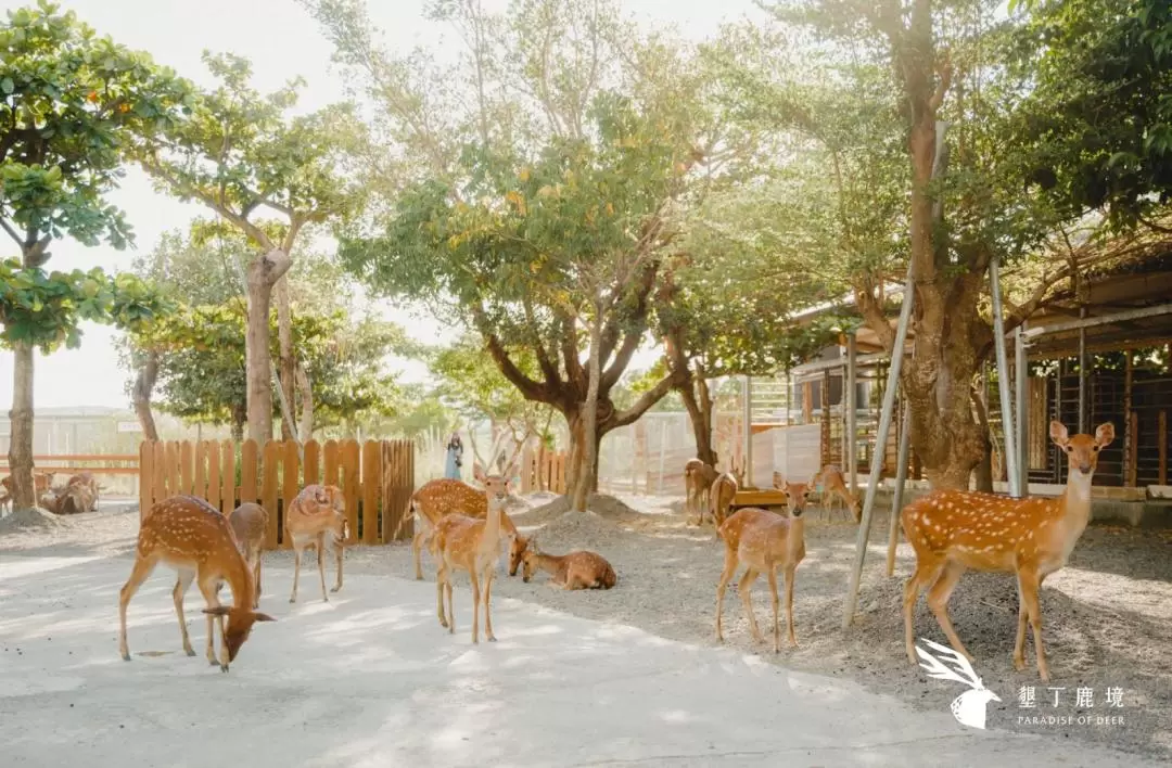 Paradise of Deer Ticket in Kenting Pingtung