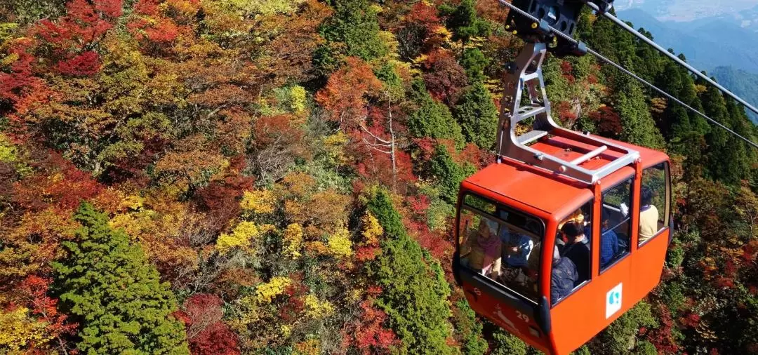 Gozaisho Ropeway and Nabana no Sato One Day Trip from Osaka/Nagoya