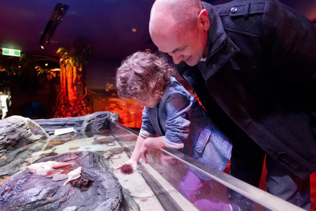 Melbourne SEA LIFE Aquarium & Legoland Discovery Centre Attraction Pass