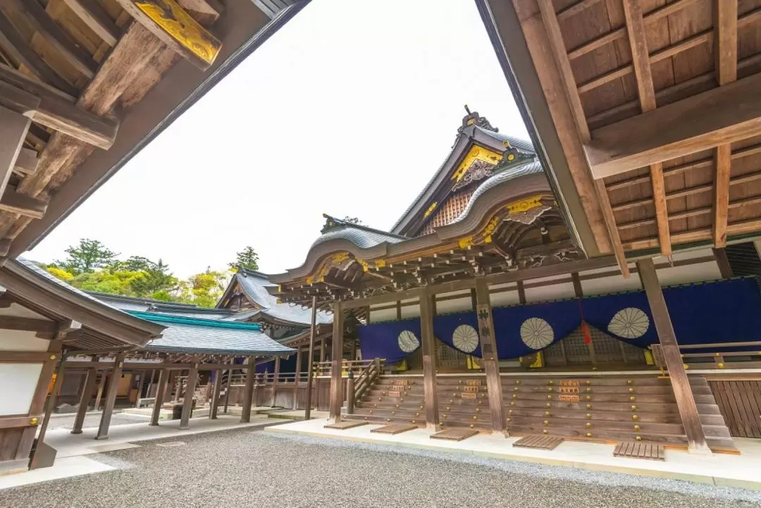 Toba Aquarium & Ise Grand Shrine Private One Day Tour from Nagoya