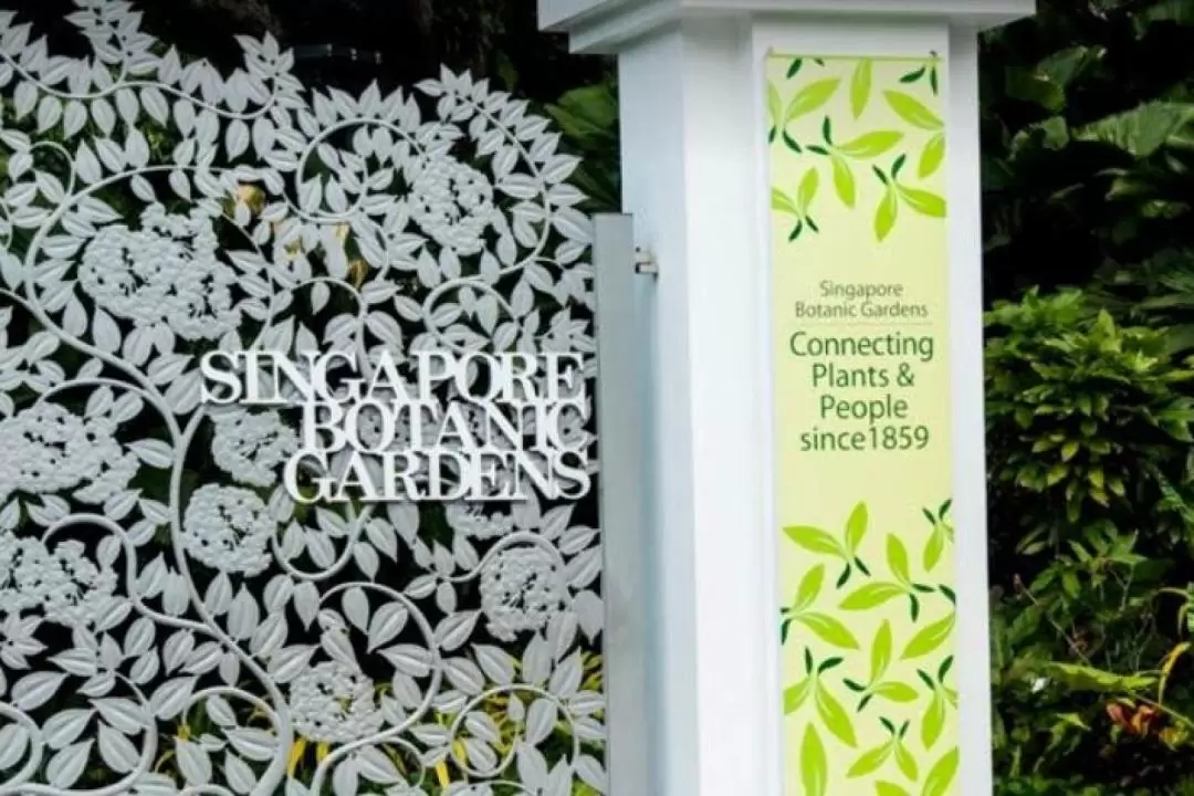 [Klook Exclusive] Singapore Garden City Walking Tour