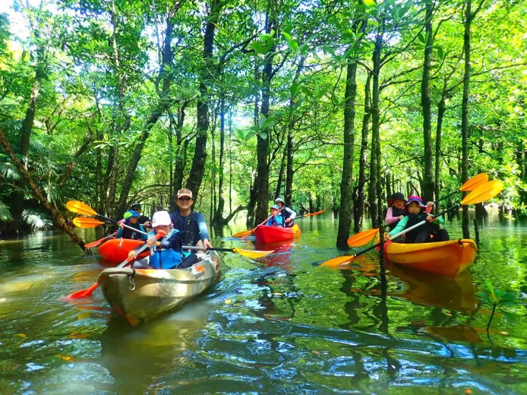 Iriomote Island Private Activity (Shuttle service within the whole island)