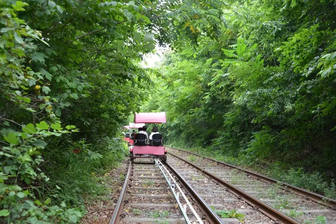 Gangchon Rail Bike Experience (Gyeonggang Station Course)