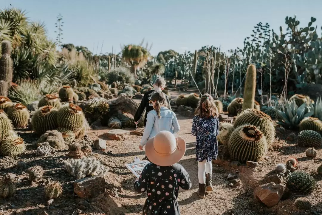 墨爾本 Cactus Country 仙人掌花園門票