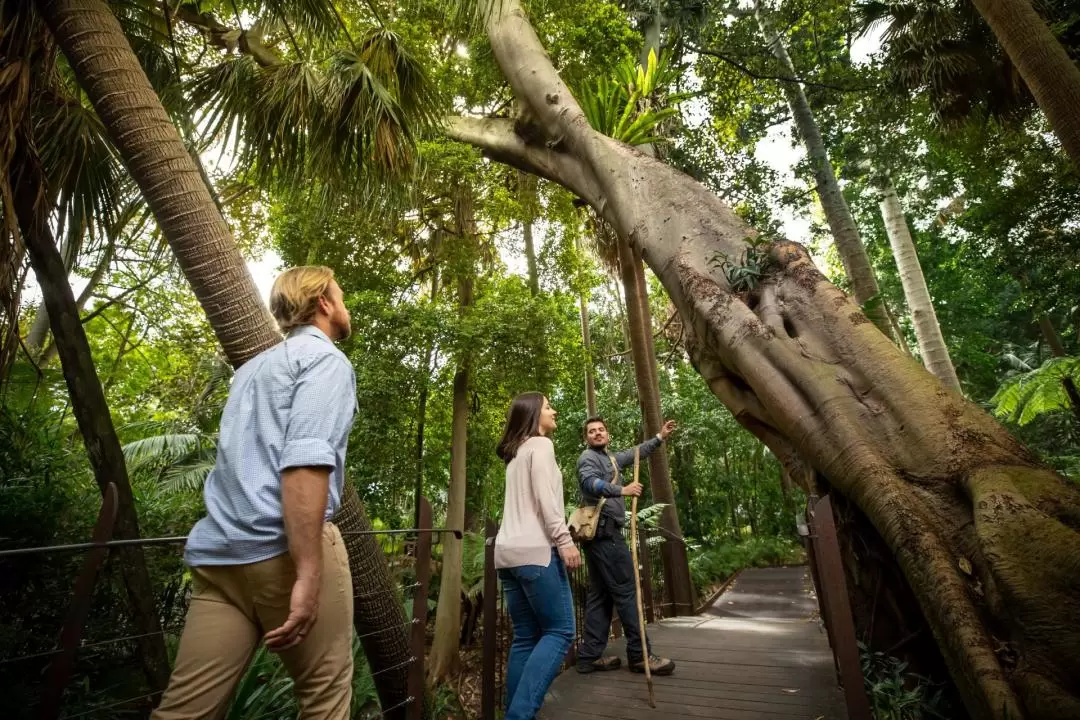 Royal Botanic Gardens Melbourne and Aboriginal Heritage Walk Ticket