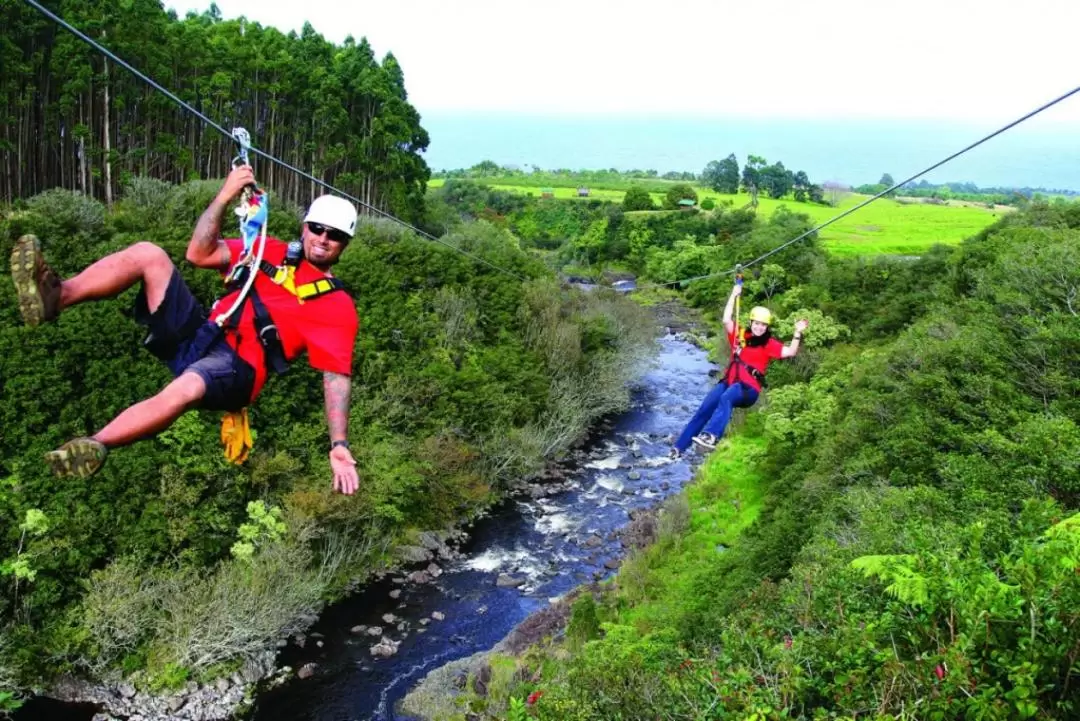 Umauma Falls Zipline Experience in Big Island