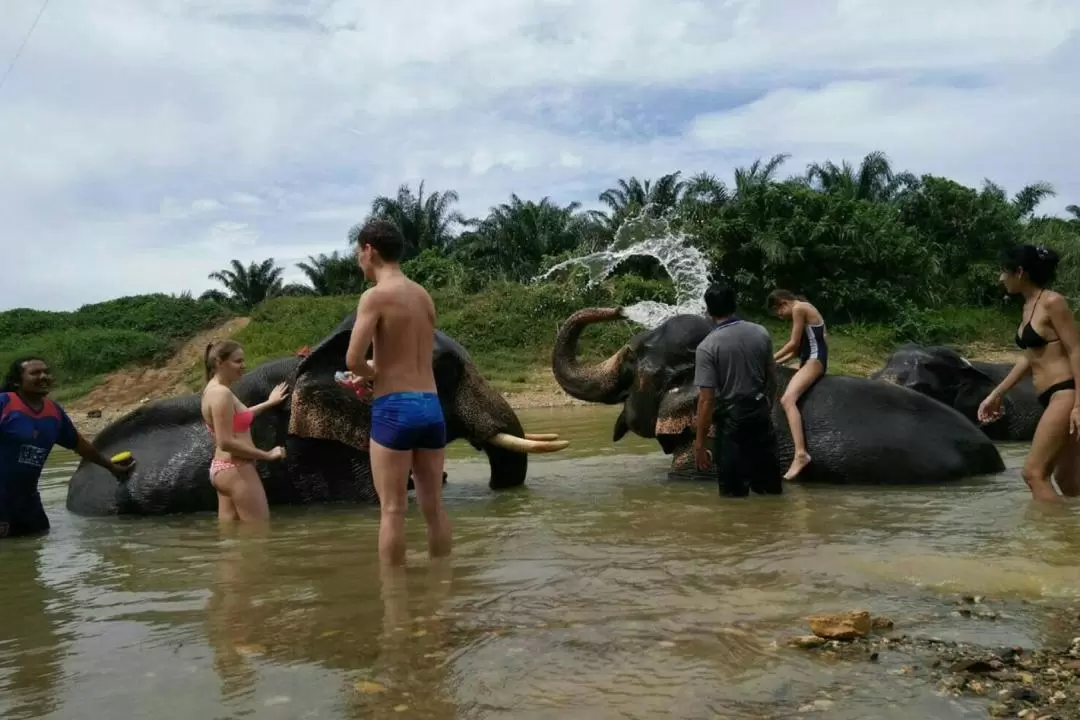 2D1N Khao Sok Cheow Lan Lake Discovery from Phuket and Khoalak