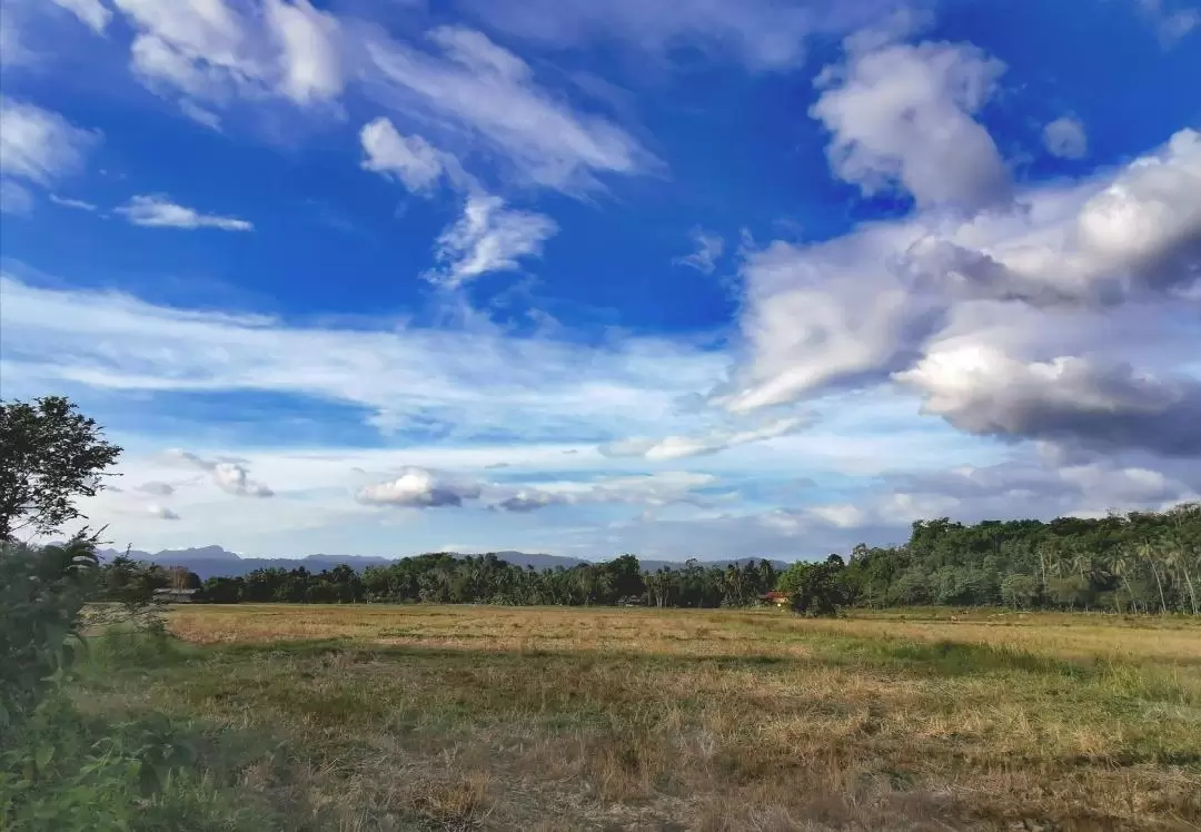 Nature Cycling Experience with Transfers in Langkawi