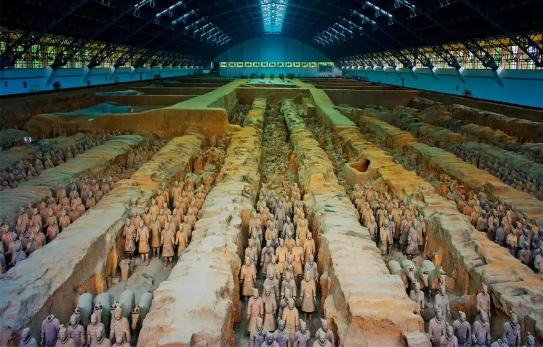 Shaanxi Xi'an Qinfeng Tang Yun·Eastern Route One-day Tour (Terracotta Warriors + Huaqing Pool)