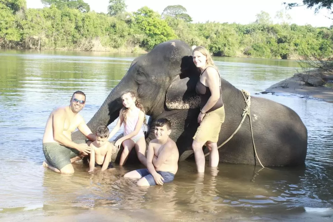 Chang Puak Elephant Camp in Kanchanaburi