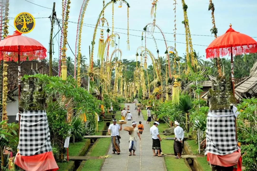 Ubud Nature Trip with Flying Fox, Spa or Jungle Swing Experience