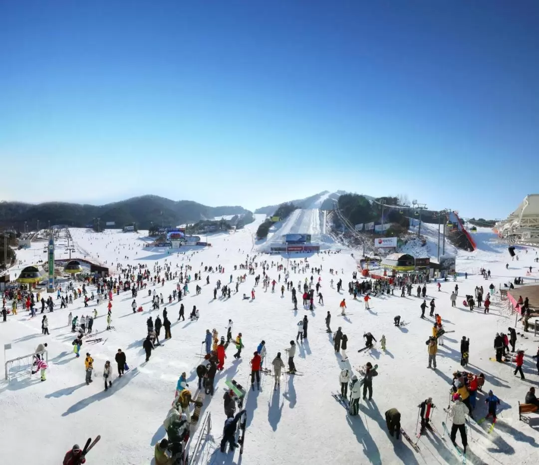 Gangwon-do Welli Hilli Ski Resort One Day Tour