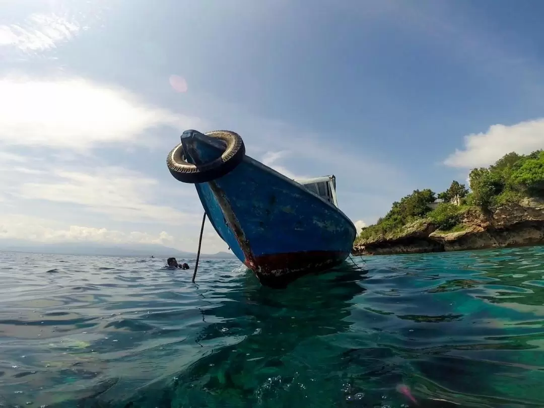 Full-Day Dive to Menjangan Island with PADI 5 Star Dive Resort