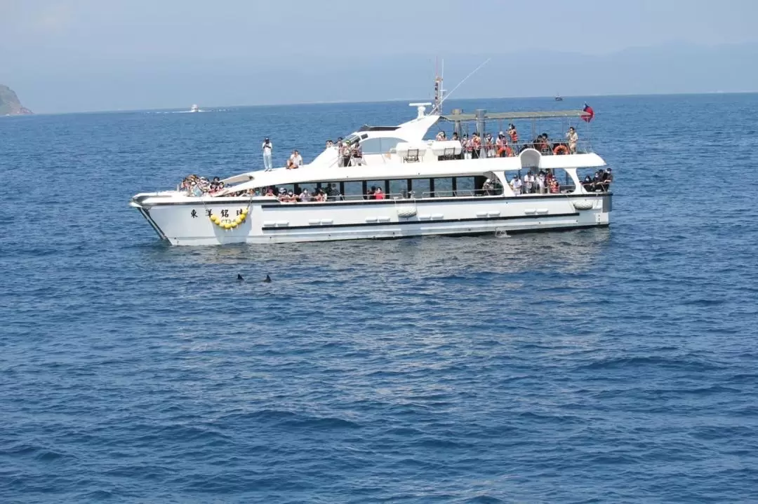 Guishan Island LandingWhale WatchingSurrounding Guishan Island