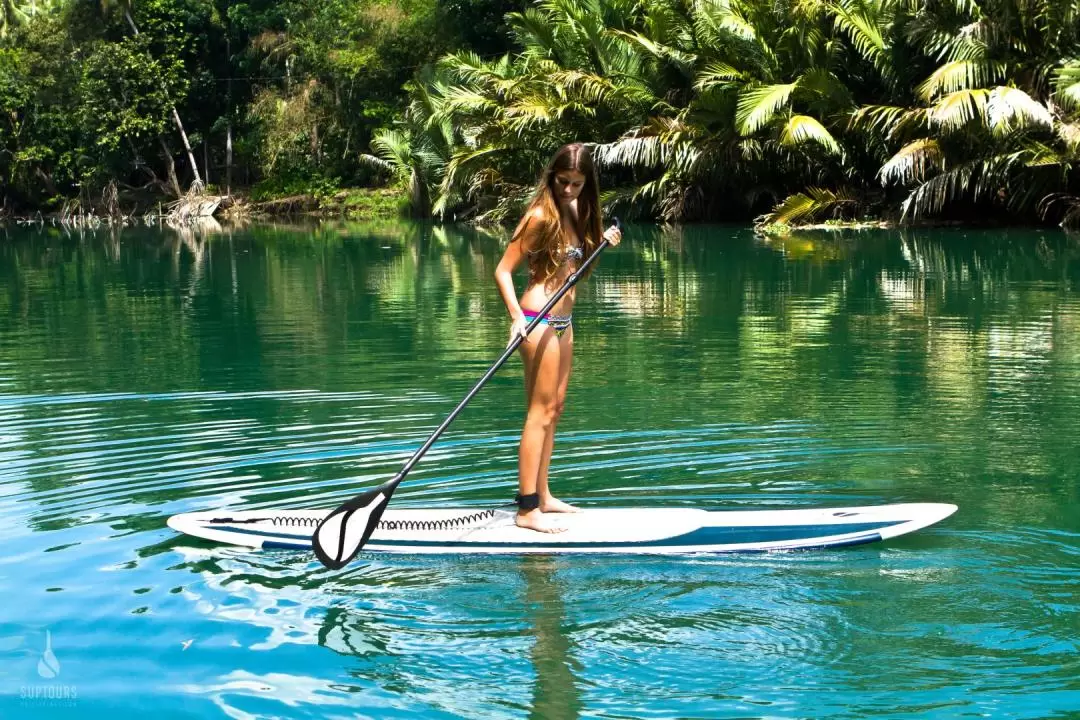 Loboc River Stand Up Paddle Adventure in Bohol