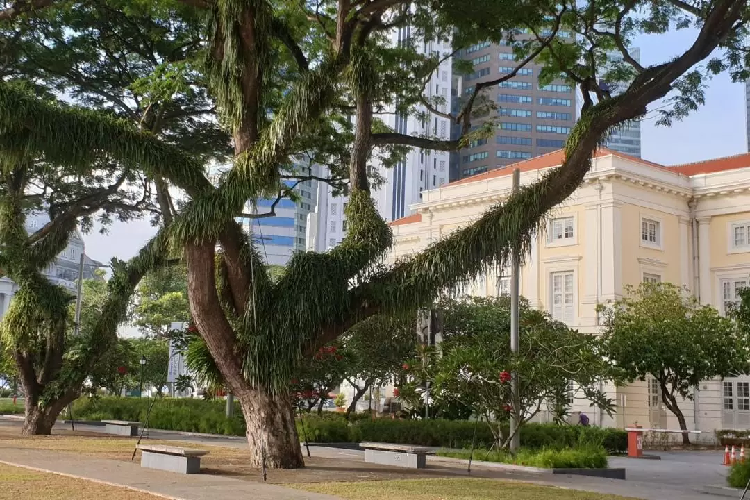 新加坡河徒步導覽之旅（含晚餐）