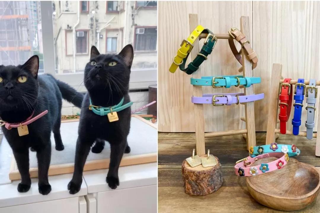  Handmade Art Room's - Pet Collar Workshop | Causeway Bay 