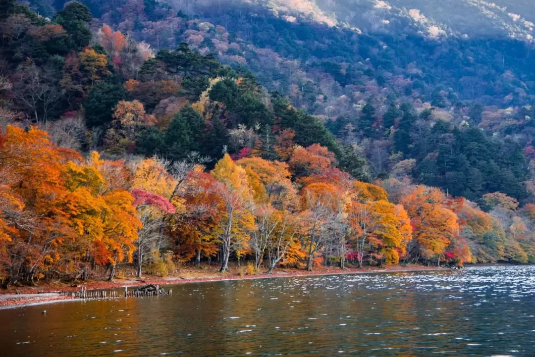 Nikko Day Tour from Tokyo