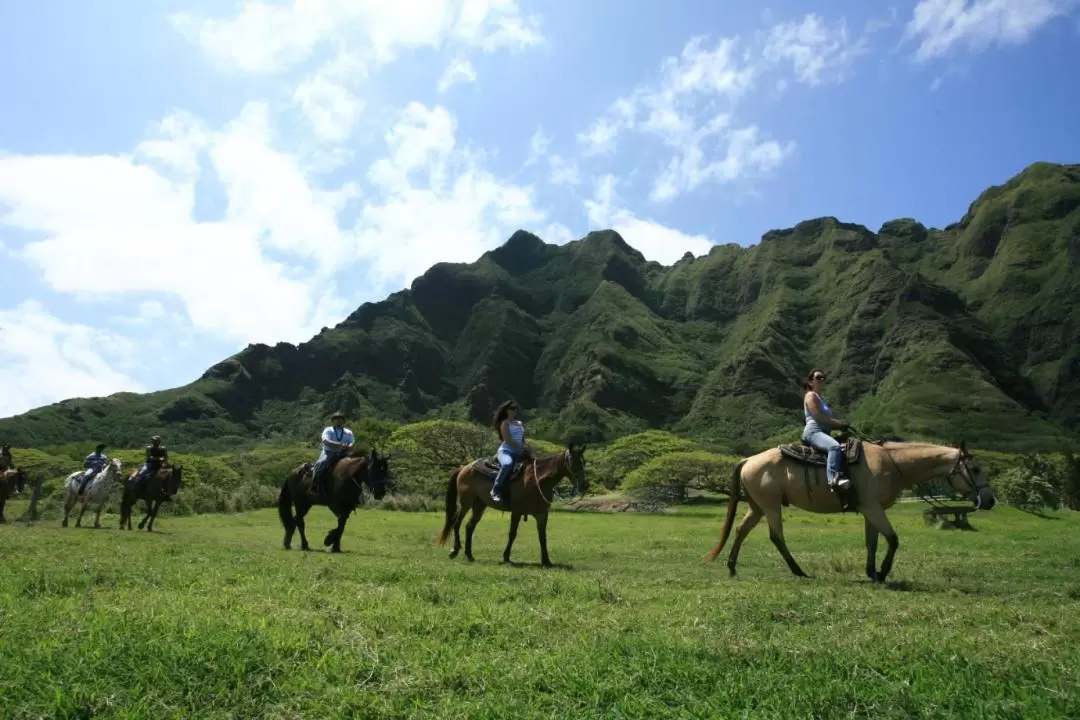 夏威夷古蘭尼牧場侏羅紀公園取景地騎馬導覽之旅