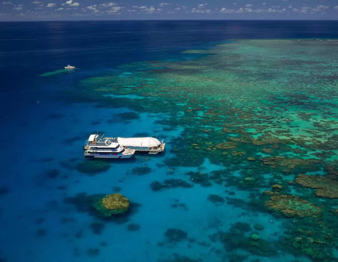 Great Barrier Reef Pontoon from Cairns including Snorkelling