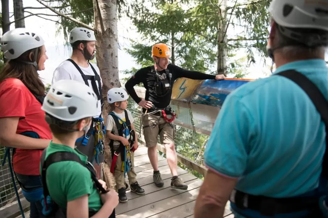 皇后鎮叢林飛索體驗（Ziptrek 提供）