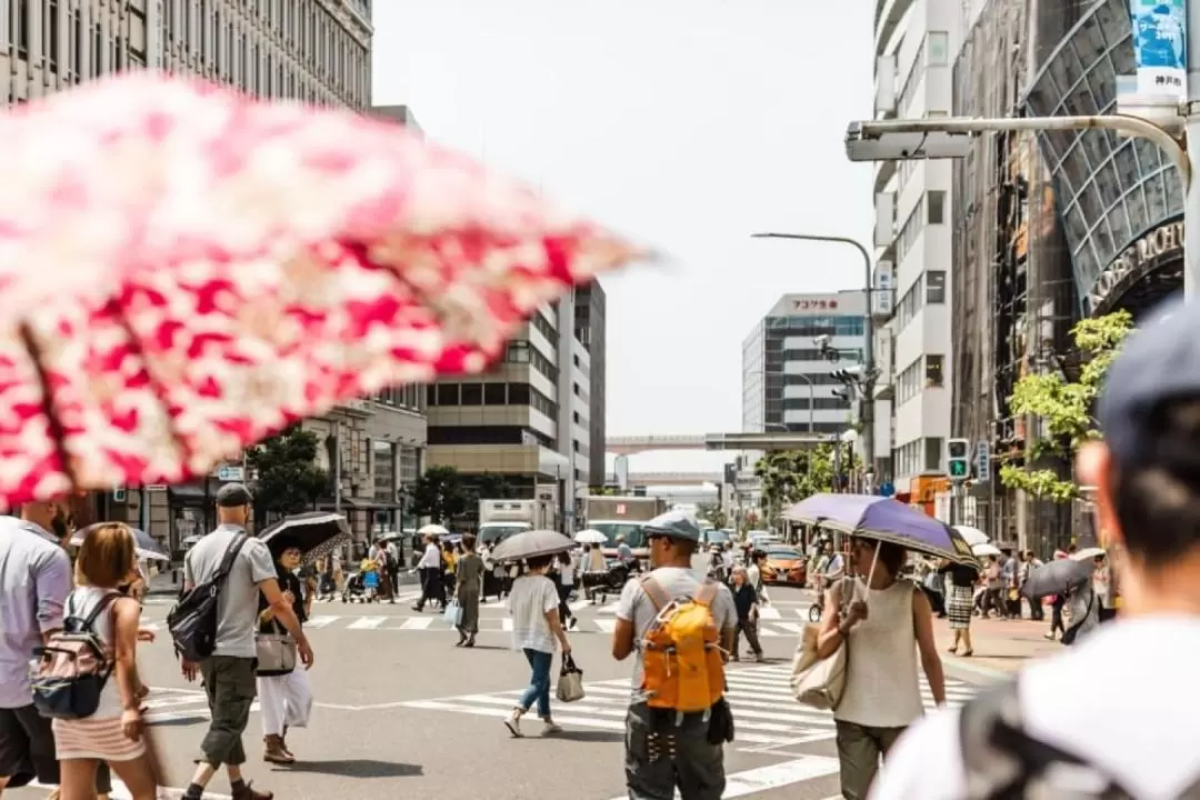 神戶市區半日遊（含當地導遊）